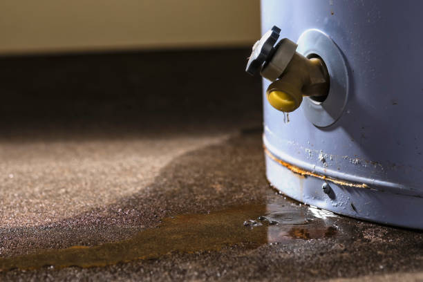 Best Sewage cleanup and water damage restoration  in Heritage Village, CT