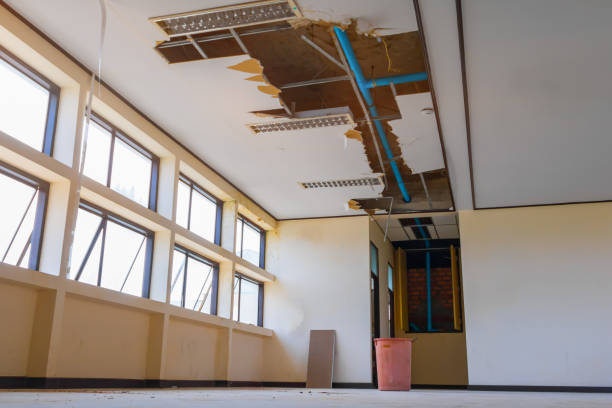 Best Local water damage restoration  in Heritage Village, CT