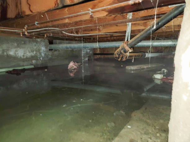Best Water damage restoration near me  in Heritage Village, CT