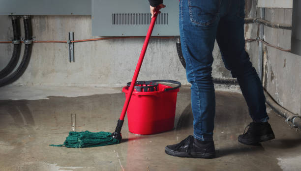 Best Water damage contractors near me  in Heritage Village, CT