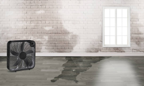 Best Water damage restoration services  in Heritage Village, CT