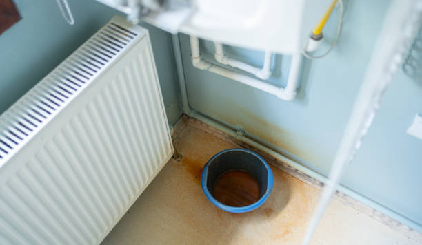 Best Water damage restoration specialists  in Heritage Village, CT