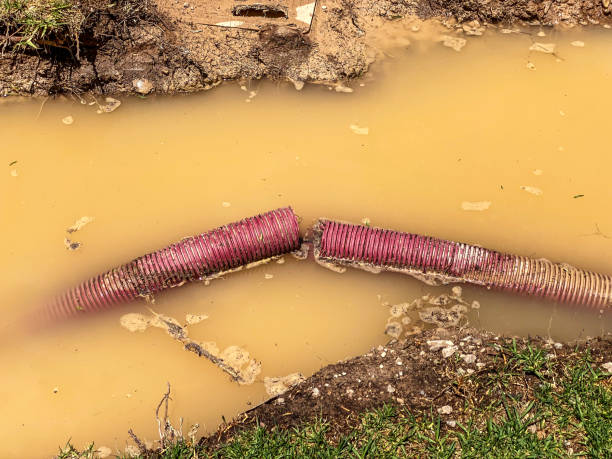 Best Basement water damage restoration  in Heritage Village, CT